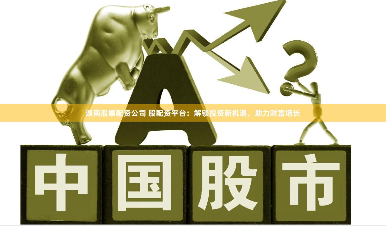 湖南股票配资公司 股配资平台：解锁投资新机遇，助力财富增长